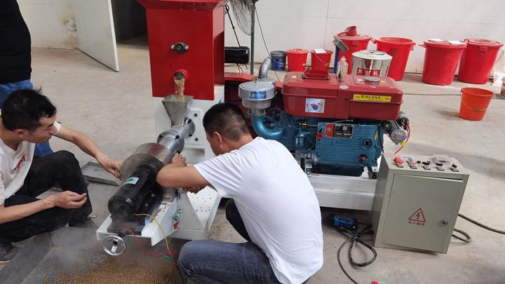 dry type Goldfish feed extruder machine parts in the Philippines